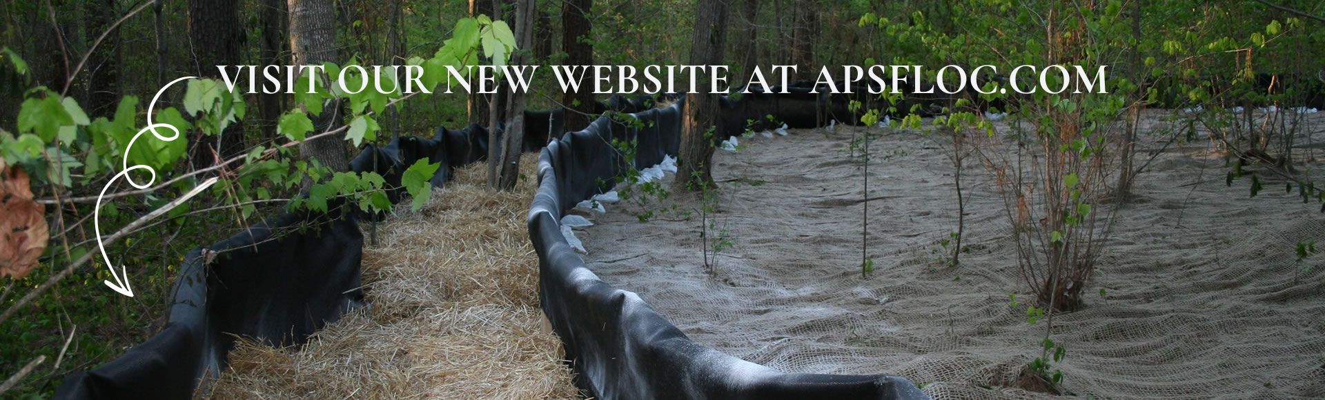 Erosion Control